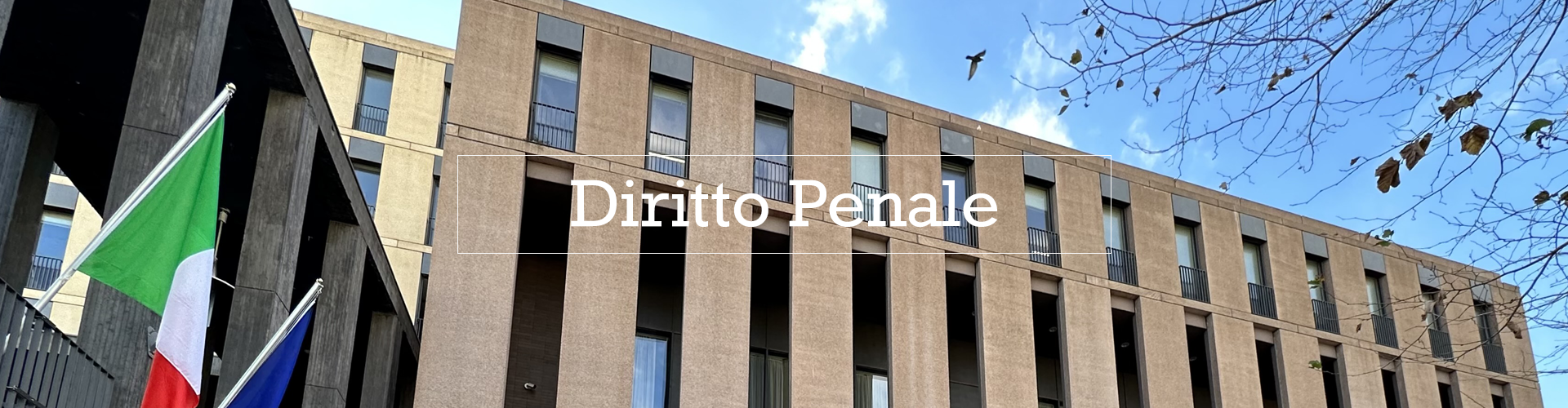 studio-legale-fenucciu-salerno-diritto-penale